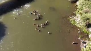 Bingölde suda kaybolan kişiyi vatandaşların kurtarma mücadelesi dronla görüntülendi
