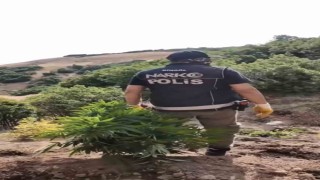 Bingölde uyuşturucu operasyonu: 3 şüpheli tutuklandı