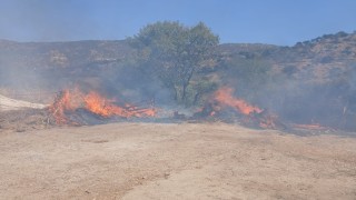 Bir evin bahçesindeki zeytinlik alanda çıkan yangın kısa sürede söndürüldü