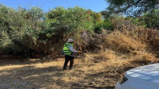 Bodrumda ot temizliği çalışmaları sürüyor