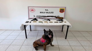 Boluda evinde silah ve mühimmat bulunan şüpheli tutuklandı