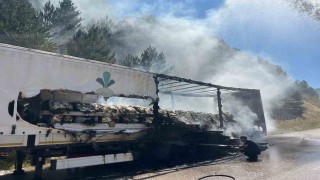 Boluda şeker yüklü tır alev aldı, yangın ormana sıçradı