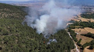 Boludaki orman yangını kontrol altına alındı