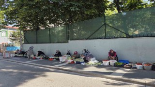 Boyu küçüldükçe fiyatı artıyor