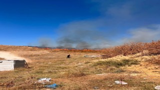 Bozüyükte tarım arazisinde yangın çıktı