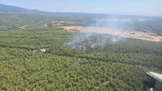 Bucadaki orman yangını kontrol altına alındı