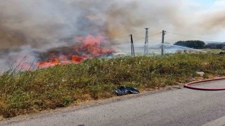 Burhaniyede ot yangını trafiği etkiledi