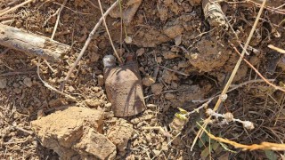 Bursada kurtuluş savaşından kalma el bombaları bulundu