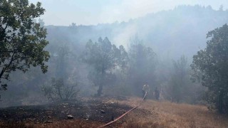 Bursada orman yangınına havadan ve karadan müdahale