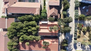 Bursada örnek okul projesi: 50 yıllık ağaçlar binanın içinde kaldı