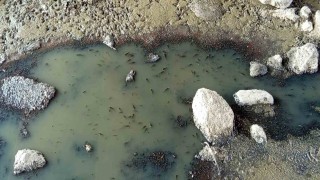 Bursada Oscarlık kurtarma operasyonu