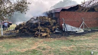 Bursada samanlık alevlere teslim oldu