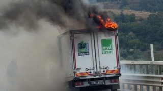 Bursada seyir halindeki kamyonet alevlere teslim oldu