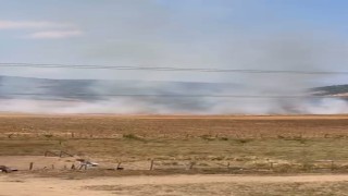 Bursada tarlalık alanı ateşe veren şüpheli yakalandı