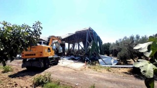 Bursada zeytinliğe yapılan kaçak depo böyle yıkıldı