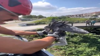 Çalıların arasına sıkışan balıkçıl kuşun imdadına itfaiye yetişti