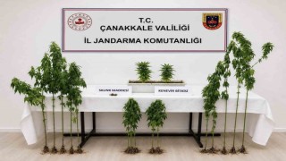 Çanakkalede 3 ilçede uyuşturucu operasyonu