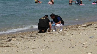 Çanakkalede plajda savaştan kalma olduğu değerlendirilen askeri mühimmat bulundu