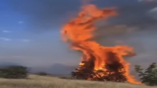 Çankırıda örtü yangını ağaçlık alana sıçradı