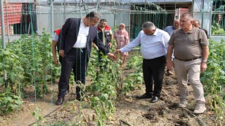 Çarşamba Ovasında sağanağın bilançosu ağır: 30 mahallede 5 bin dekar zarar