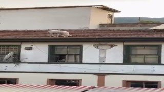 Çatıdaki koyunu görenler telefonuna sarıldı