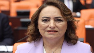 CHP Adana Milletvekili Şevkin: "Bireysel Silahlanma Önlenmeli"