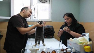 Çiftlikköy Belediyesinden yüzlerce can dosta destek sağlandı