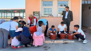 Çıldırda Yeşeren eller projesi hayata geçirildi