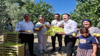 Çinli fenomen çift Aydın incirine hayran kaldı