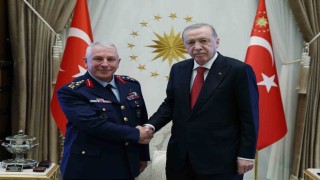 Cumhurbaşkanı Erdoğan, emekliye sevk edilen Hava Kuvvetleri Komutanı Kadıoğlunu kabul etti