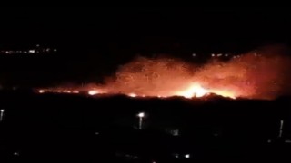 Denizlide ovalık alanda yangın paniği