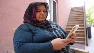 Denizlide sokak hayvanlarının zehirlenerek öldürüldüğü iddiası