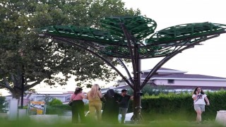 Denizlide Solar Ağaç kent yaşamıyla buluştu