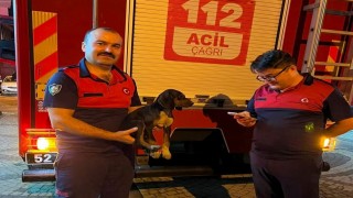Depoya düşen köpek, itfaiye ekiplerince kurtarıldı