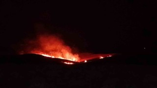 Diyarbakırda anız ve örtü yangını