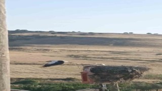 Diyarbakırda ayağı yuvasındaki bez parçasına takılan leylek kurtarıldı