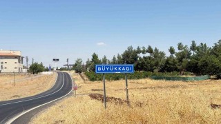 Diyarbakırda kedinin ısırdığı çocuk entübe edildi, testlerde kuduz çıktı