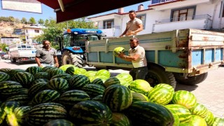Doğallığıyla damaklarda iz bırakan Hıdıroz Karpuzu tezgahlarda yerini aldı