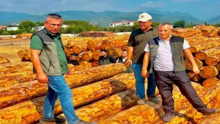 Dörtyolda orman işletmesinin çalışmaları değerlendirildi