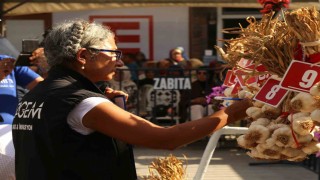 Dünyaca ünlü Taşköprü sarımsağı festivalde yarıştı: 80 demet arasından en iyi sarımsak seçildi