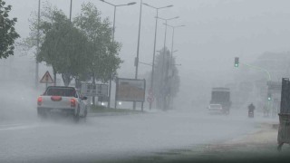 Düzcede serinleten yağış