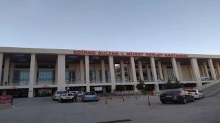 Edirnede brusella vakası