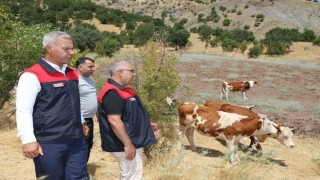 Elazığ Kırsalda Bereket, Hayvancılığa Destek Projesi sürüyor