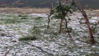 Elazığda fırtına ve dolu, tarım arazilerine zarar verdi