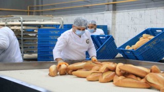 Elazığ'da günlük 20 bin ekmek üretilerek vatandaşların tüketimine sunuluyor