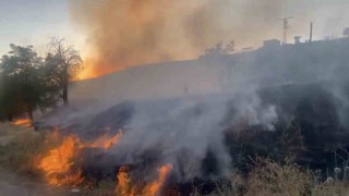 Elazığda otluk alanda çıkan yangın söndürüldü