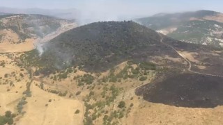 Elazığdaki orman yangını söndürüldü