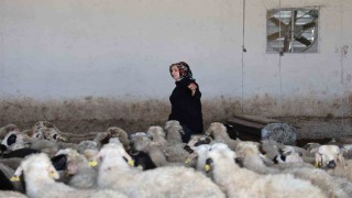 Elazığlı kadın girişimci devlet desteğiyle çiftlik kurdu