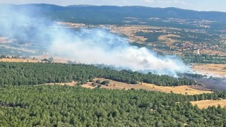 Emette ormanlık alana sıçrayan yangın kontrol altına alındı