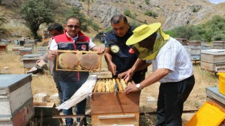 Erzincan'da bal hasadı başladı: Bin 500 ton rekolte bekleniyor